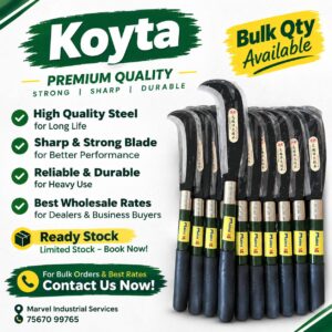 Koyta